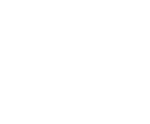 NOCCO_logo_RGB_neg_notagline